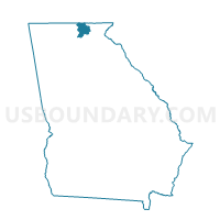 Union County in Georgia